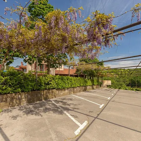 Gostinjska kuća Razman Wine Gracisce