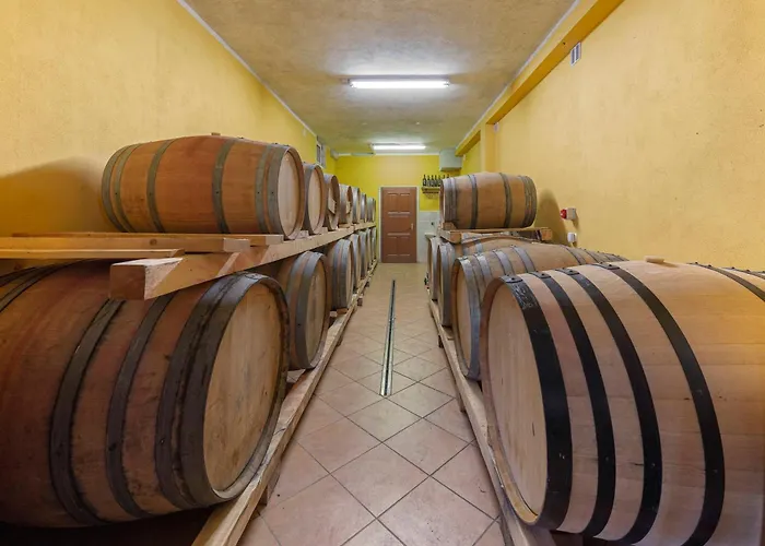 Gasthuis Ražman Wine Gračišče