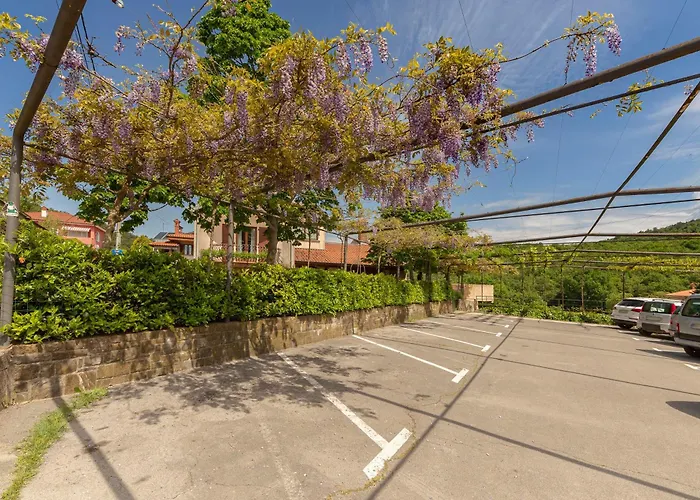 Gasthuis Ražman Wine Gračišče